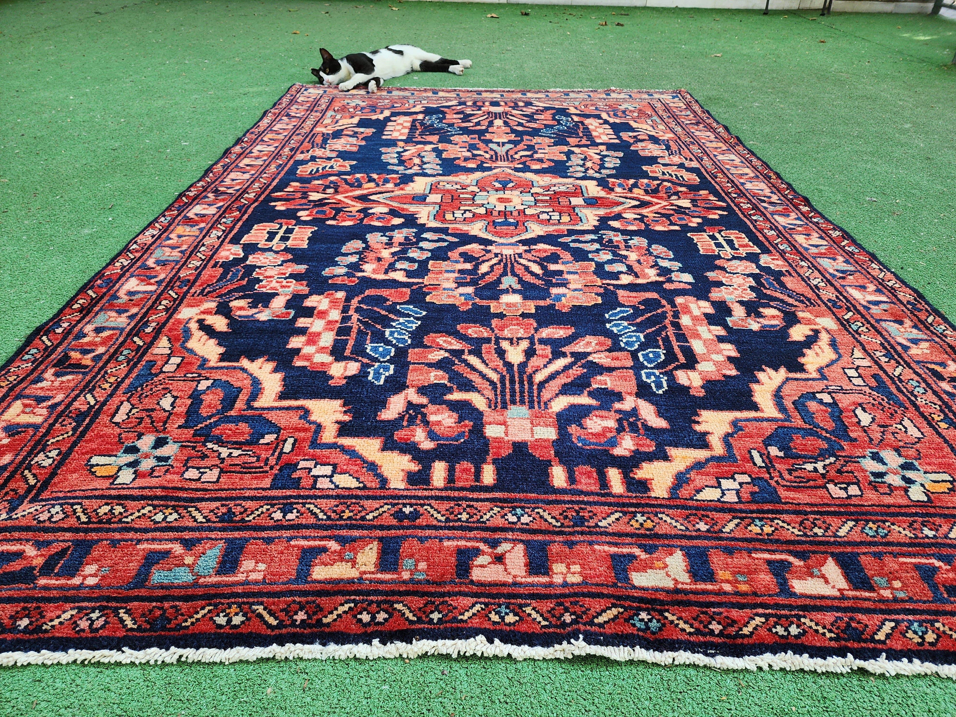 vintage Persian Wool Area Rug — border pattern