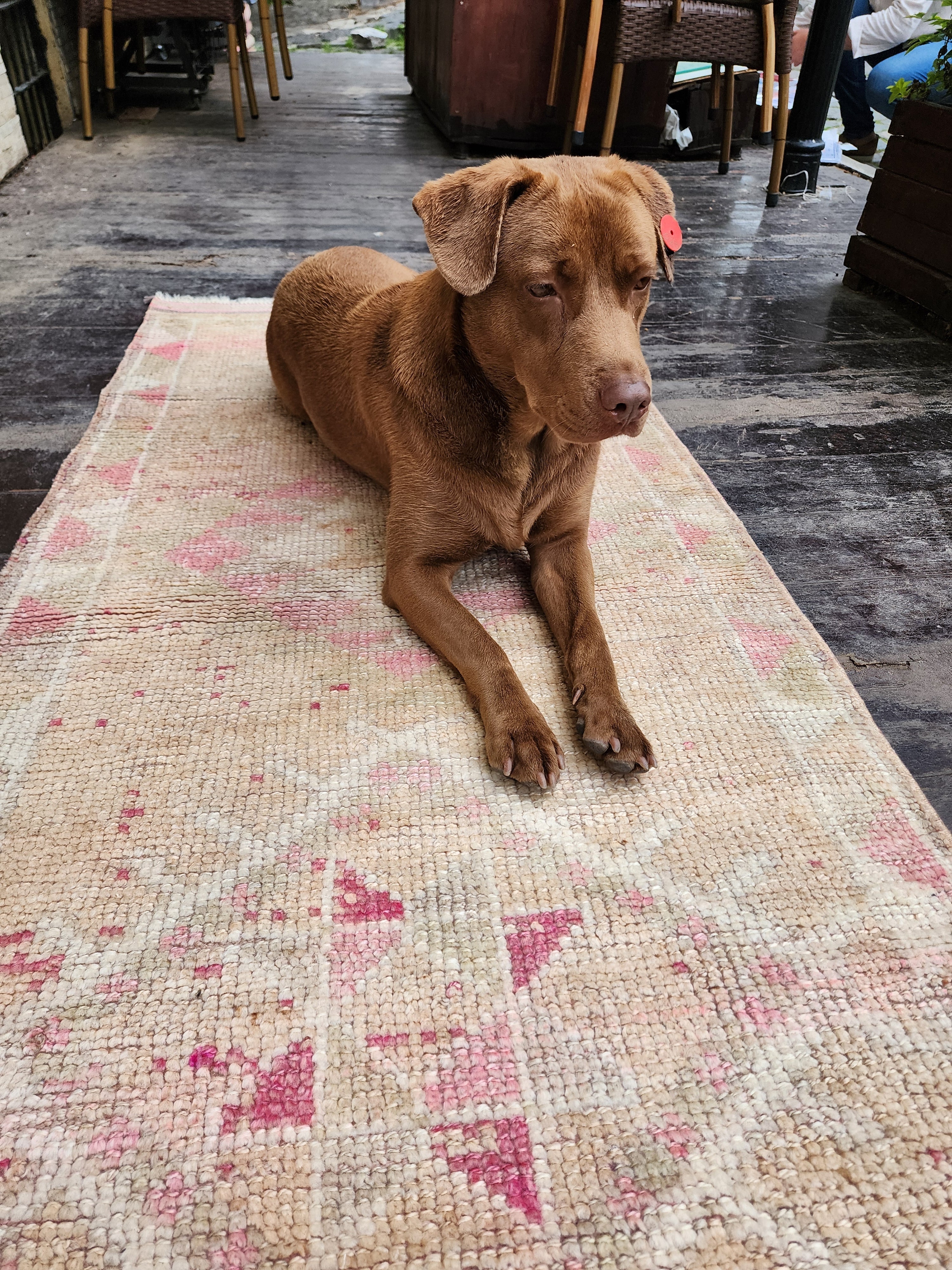 vintage Oushak Wool Runner Rug — pile detail
