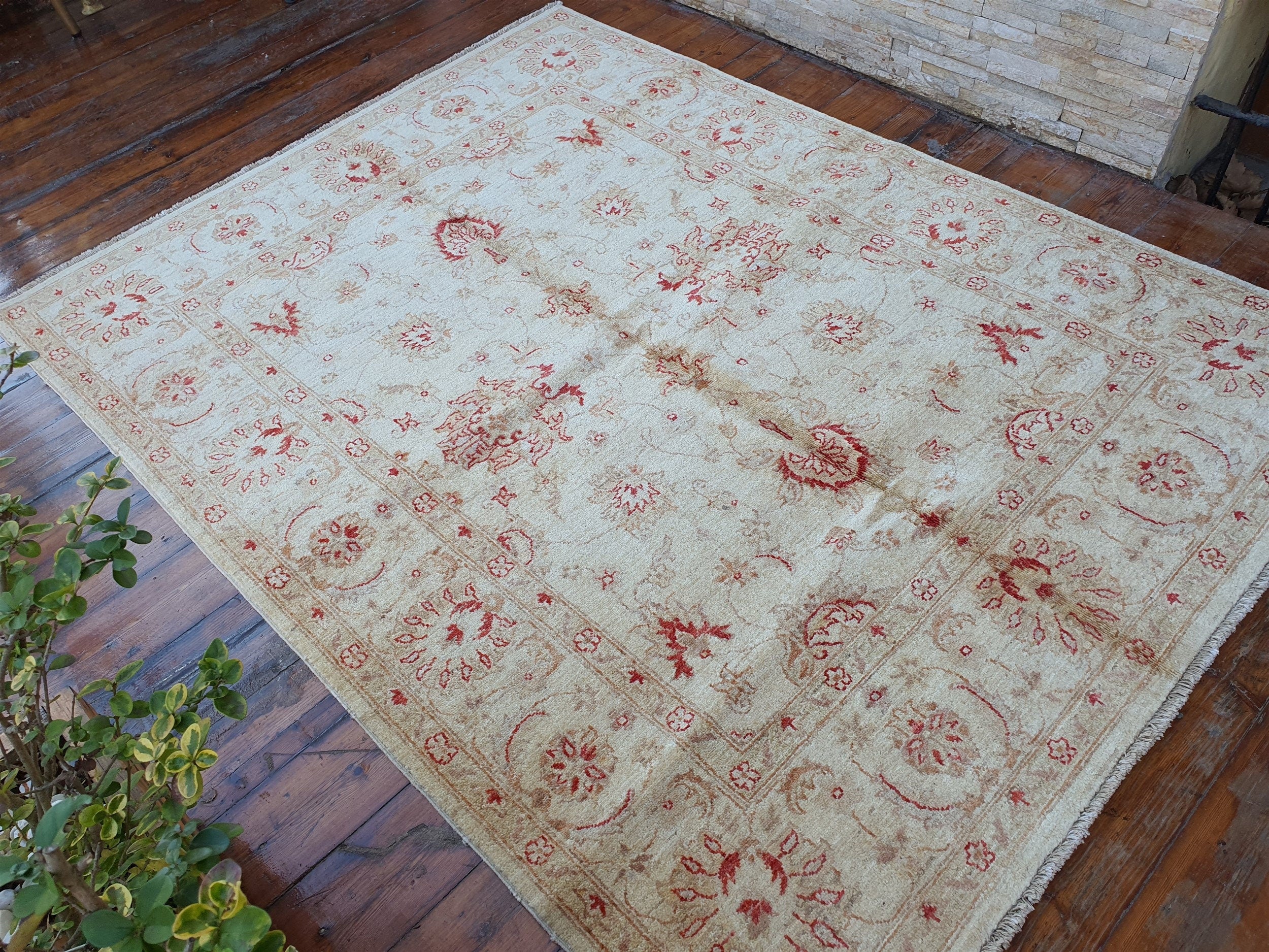 Turkish Usak Rug 6 x 5 ft Beige Brow Superfine Wool Rug