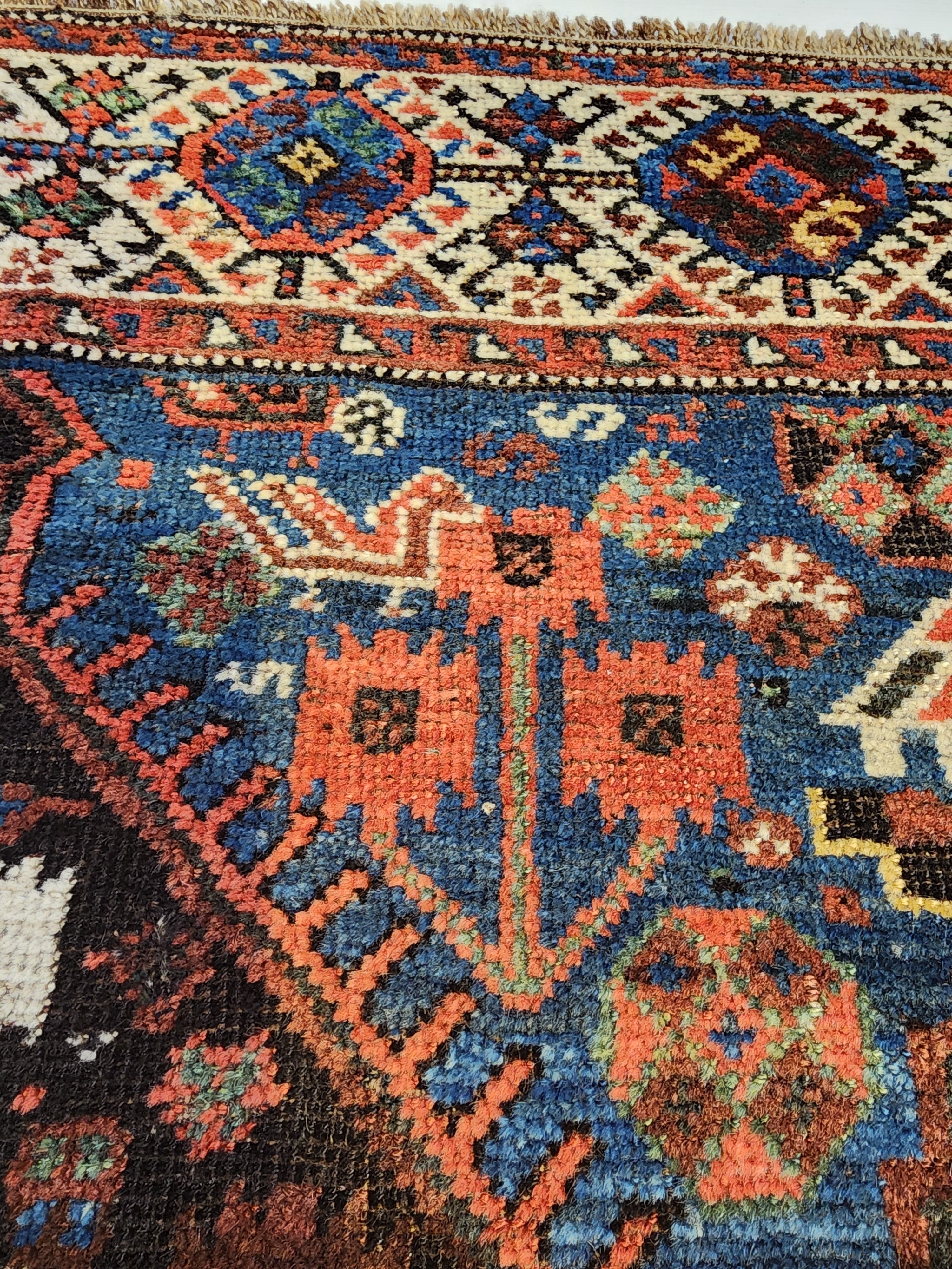 antique Caucasian Shirvan Wool Large Area Rug — styled view