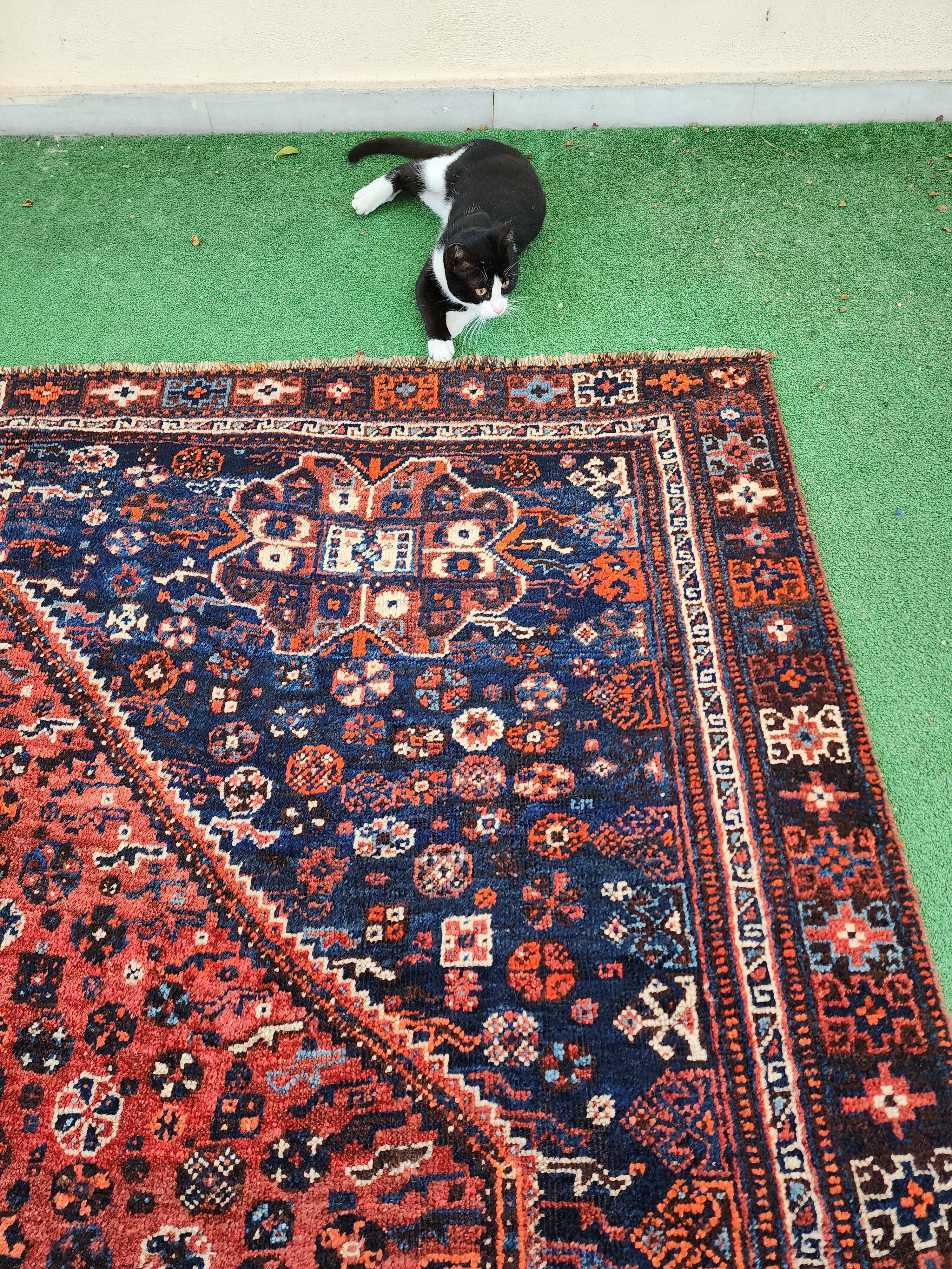 antique Persian Wool Large Area Rug — in setting
