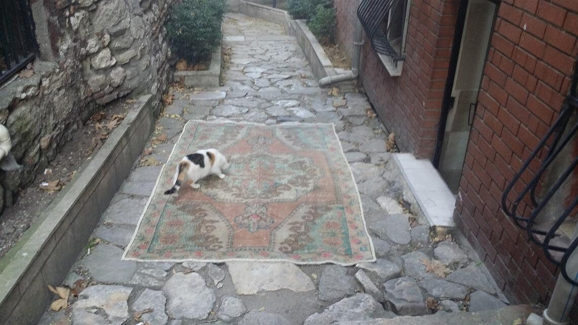 vintage Oushak Wool Small Rug — back view