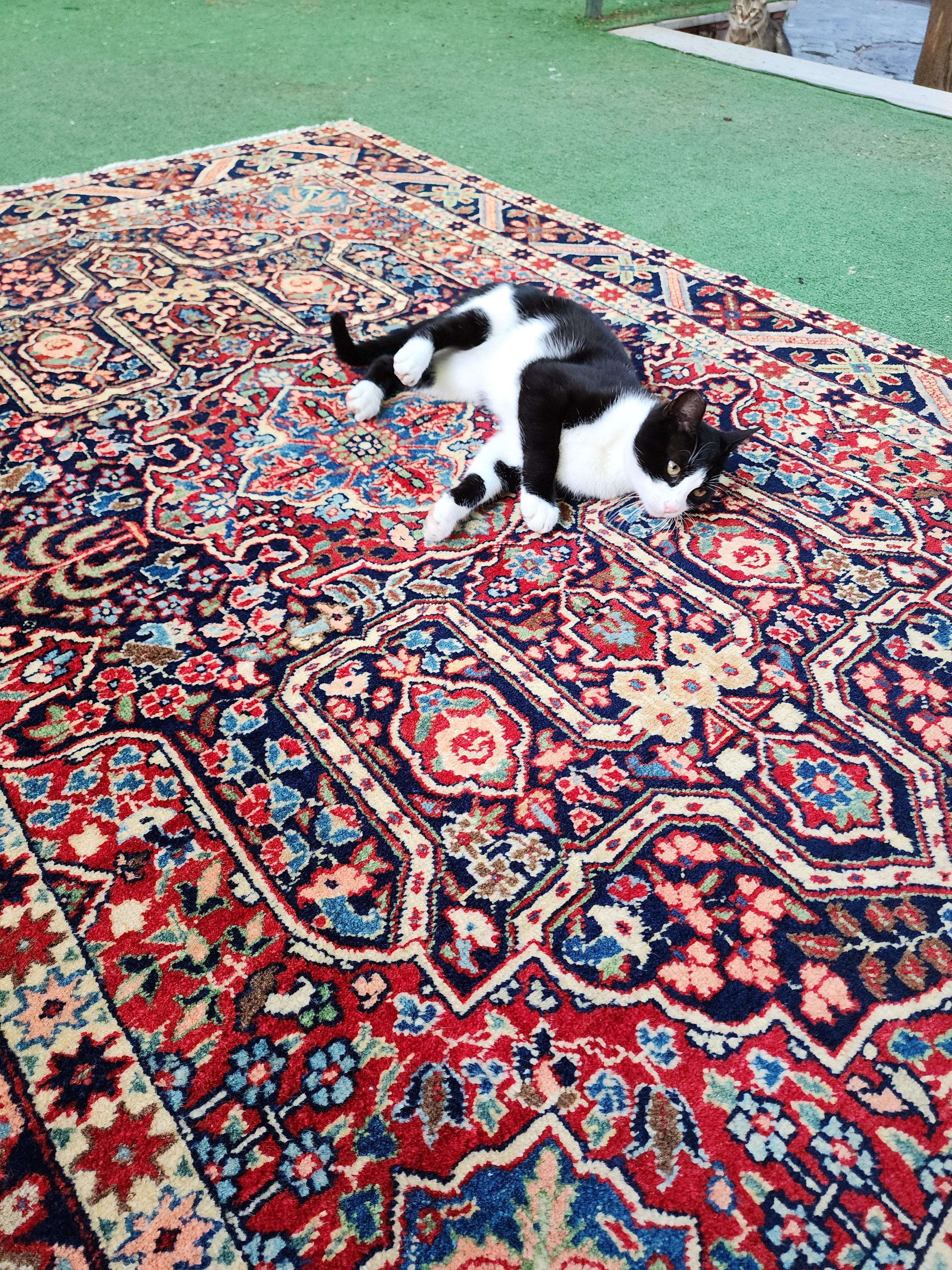 vintage Persian Area Rug — styled view